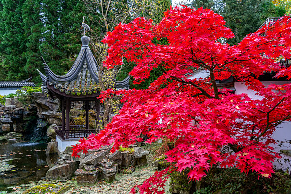 Botanischer Garten Uni Bochum