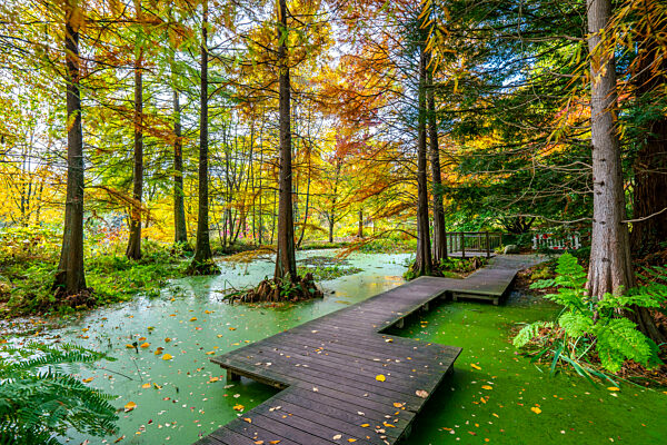 Botanischer Garten Uni Bochum