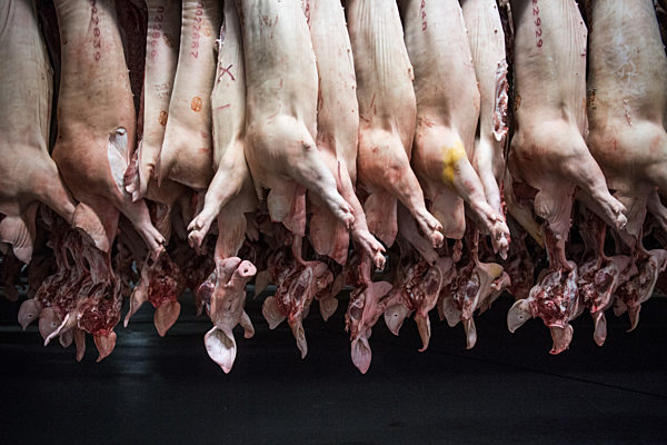 Lebensmittelunternehmen Tönnies