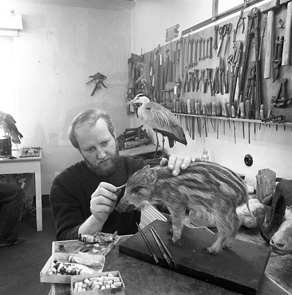 DDR - Tierpräparator 1986