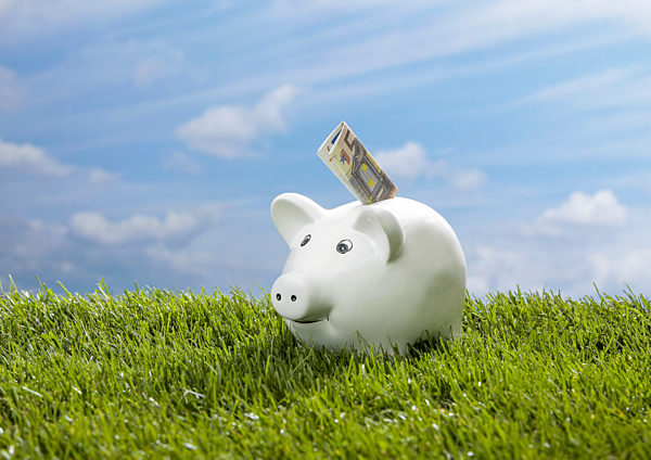 Sparschwein steht in Wiese, mit Geldschein