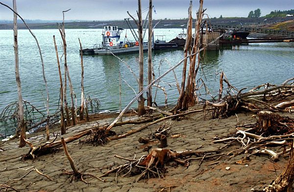 Wismutsanierung mit ungewöhnlicher Technologie