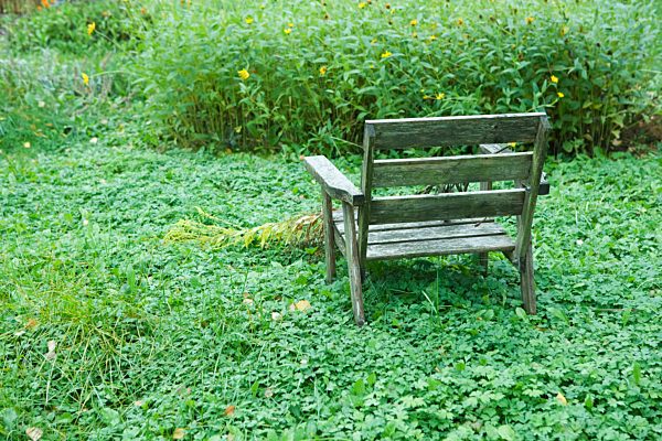 Weathered chair in garden