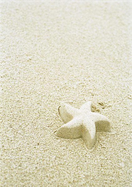 Starfish shape molded out of sand on beach