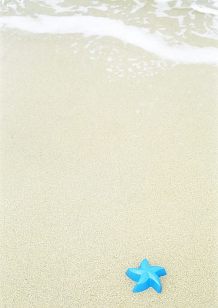 Starfish toy on beach