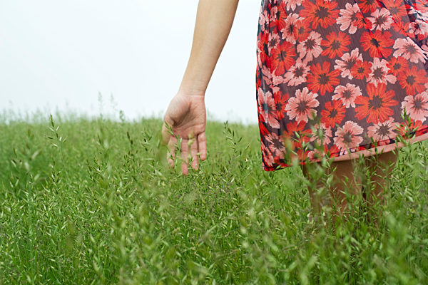 Woman touching tall grass, cropped