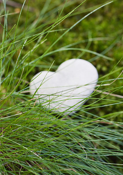 Heart-shaped stone in grass