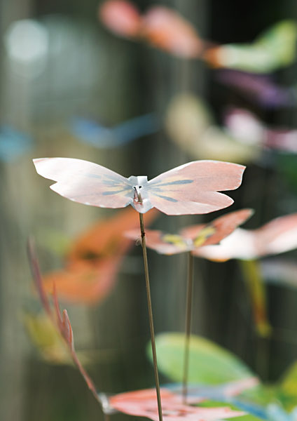 Butterfly decorations