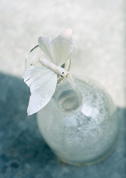 Fake butterfly balancing on bottle