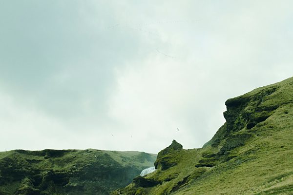 Flocks of birds above a waterfall, Iceland