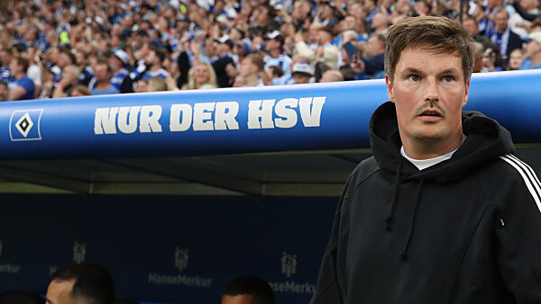 Fussball 2. Bundesliga, Hamburger SV - SSV Ulm 1846