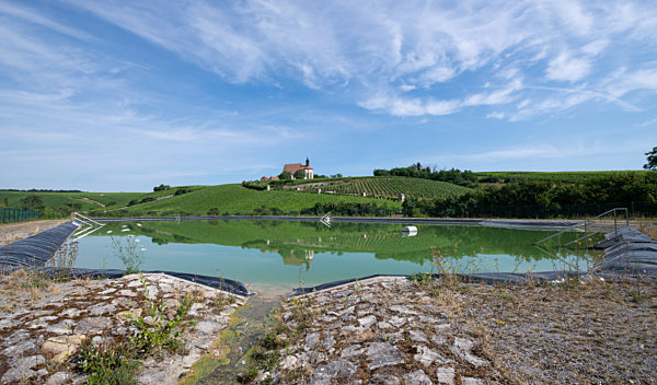 Weinbau - Pilotprojekte im Kampf ums Wasser