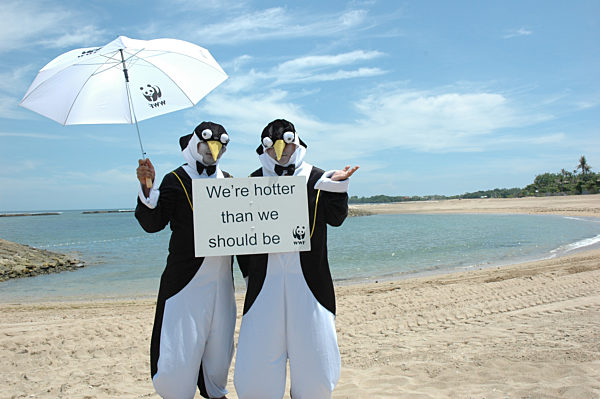 Aktivisten des WWF demonstrieren verkleidet als Pinguine am Dienstag (11.12...