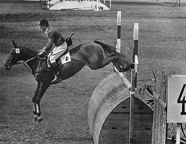 Pferdesport: Winkler siegt auf Halla in Stockholm 1956