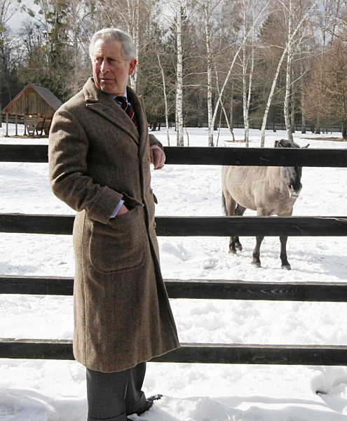 Charles auf Mitteleuropa-Reise in Polen