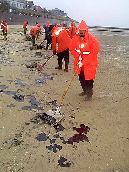 Ölverschmutzung auf Amrum: Helfer reinigen Strand
