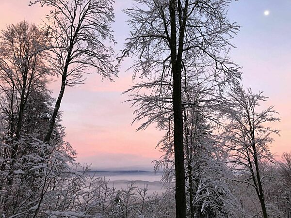 Schneelandschaft in Niederbayern