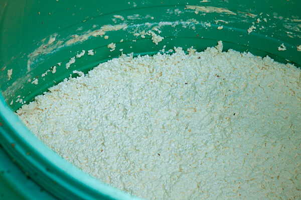 Junge Frau aus Uganda entwickelt Mückencreme aus saurer Milch