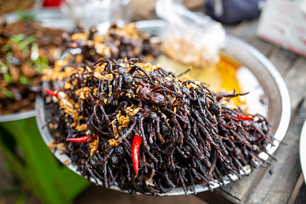 Vogelspinne gefällig? - Achtbeiner als Snack in Kambodscha