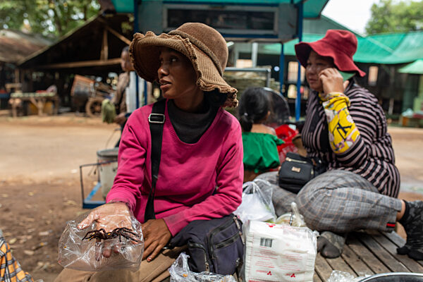 Vogelspinne gefällig? - Achtbeiner als Snack in Kambodscha