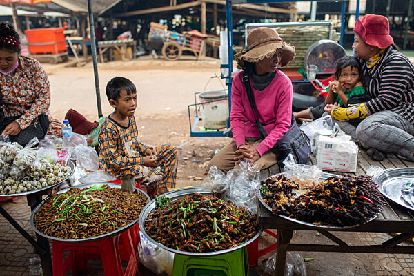 Vogelspinne gefällig? - Achtbeiner als Snack in Kambodscha