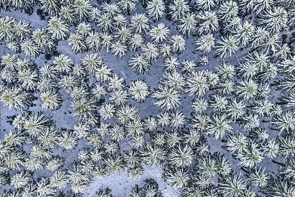 Winter auf der Schwäbischen Alb