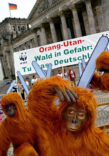 Zwei als Orang-Utans verkleidete Demonstranten stehen am Dienstag (07.06...