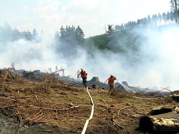 Ein Großaufgebot an Feuerwehrkräften bekämpft am Mittwochabend (12.07...