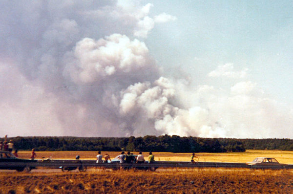 Den gigantischen Rauchpilz, der über dem brennenden Waldgebiet aufsteigt...