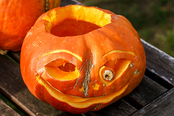 Hofladen Rixmanns Hof im Storchendorf Linum, Obst und Gemueseverkauf, Kuerbisse, Herbst, Ostprignitz-Ruppin, Deutschland