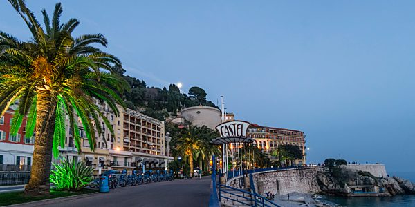 Promenade des Anglais, Castel beach, Palm Tree,Nice,