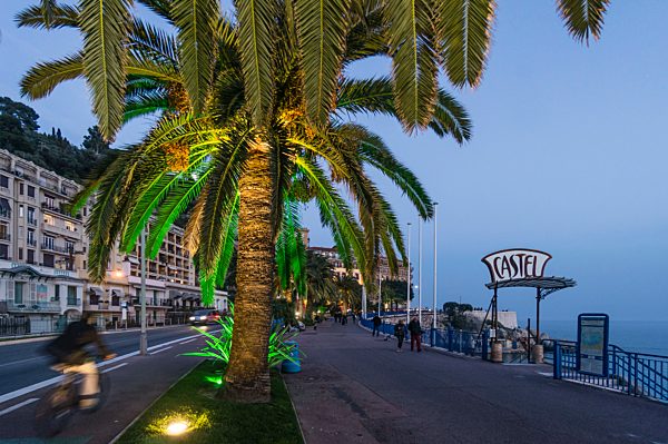 Promenade des Anglais, Castel beach, Palm Tree,Nice,