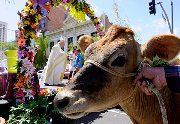 Ostersegen für die Tierwelt Auch die Liebsten aus der Tierwelt verdienen den göttlichen Segen der Kirche. Erzbischof Jose H. Gomez segnet während den Osterfeiertagen die geliebten Haus- und Nutztiere in Los Angeles.