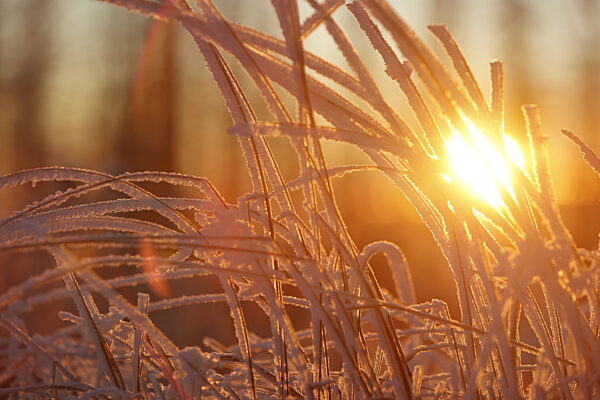 Winterwetter im Harz