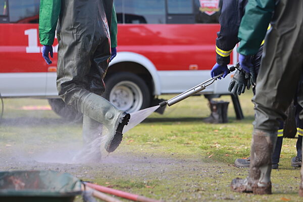 Vogelgrippe am Stausee Kelbra ausgebrochen