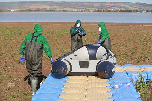 Vogelgrippe am Stausee Kelbra ausgebrochen