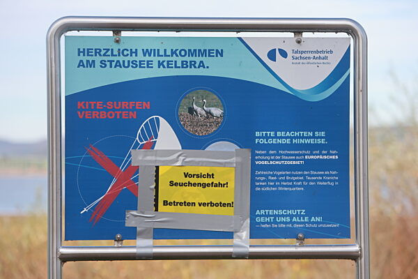 Vogelgrippe am Stausee Kelbra ausgebrochen