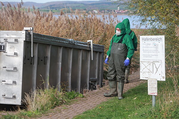 Vogelgrippe am Stausee Kelbra ausgebrochen