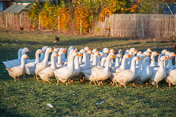 Symbolbilder - 2020 -