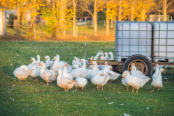 Symbolbilder - 2020 -