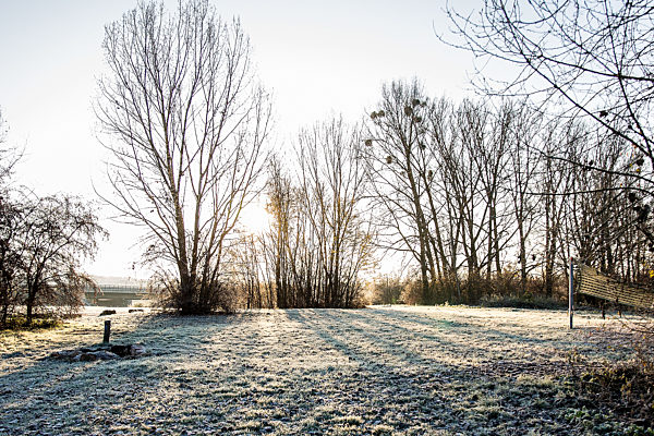 Symbolbilder - 2020 -