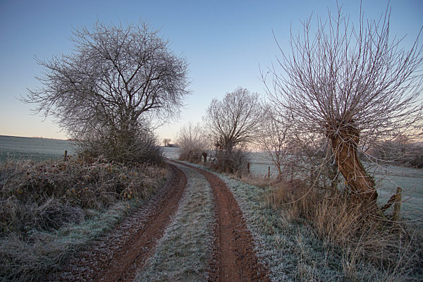 Symbolbilder - 2020 -