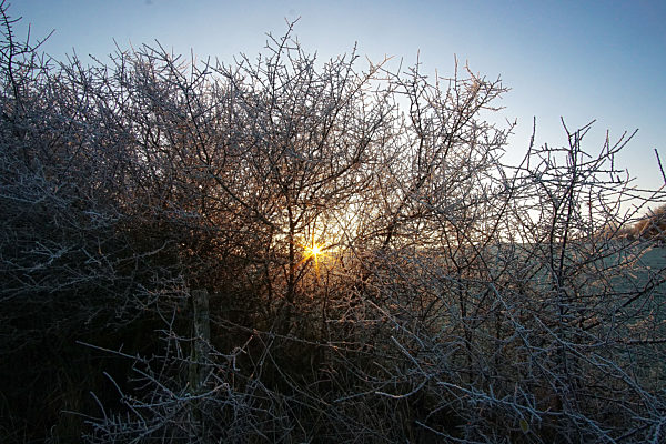 Symbolbilder - 2020 -