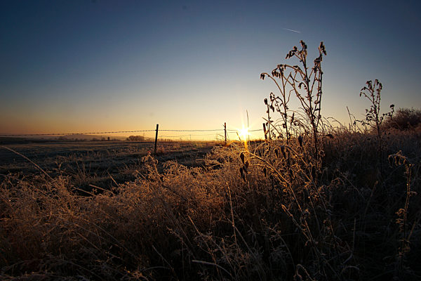 Symbolbilder - 2020 -