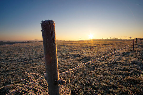 Symbolbilder - 2020 -