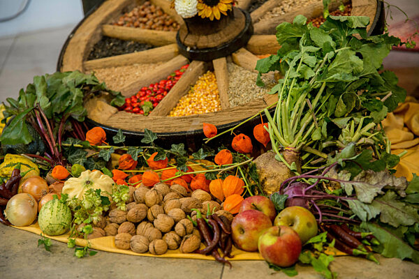 Themenbilder - Symbolbilder -  Erntedank - 2022