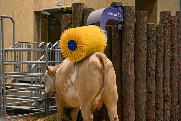 Internationale Grüne Woche Berlin - 2024