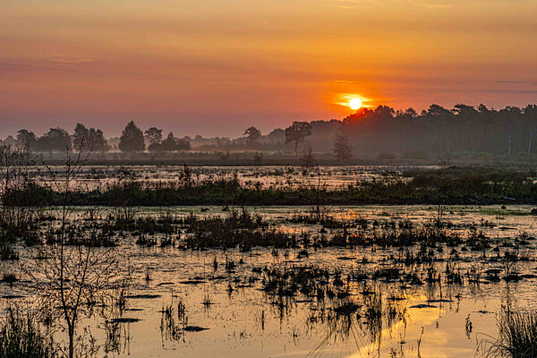 Sonnenaufgang Venner Moor September - 2024