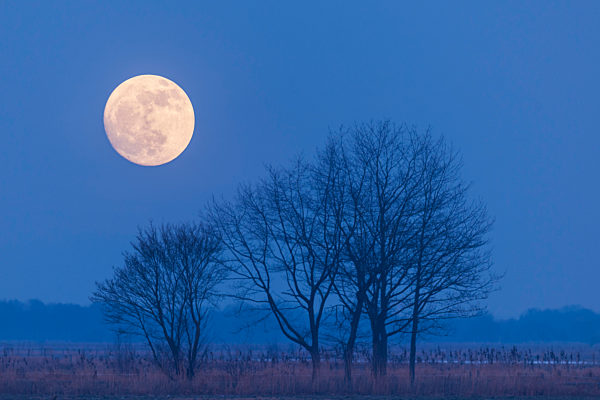 Mondaufgang, Duemmer See, Vollmond,