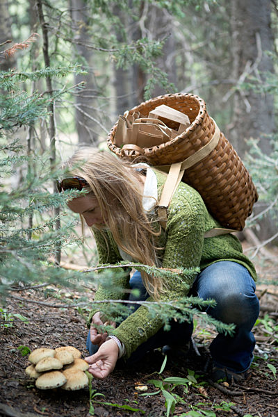 Woman foraging for mushrooms in forest, Frau Nahrungssuche fuer Pilze im Wald